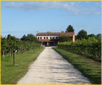 particolare della piscina